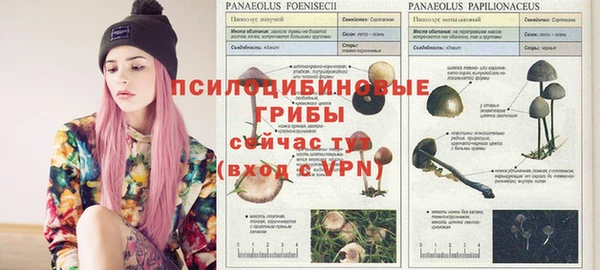 соль ск Абинск