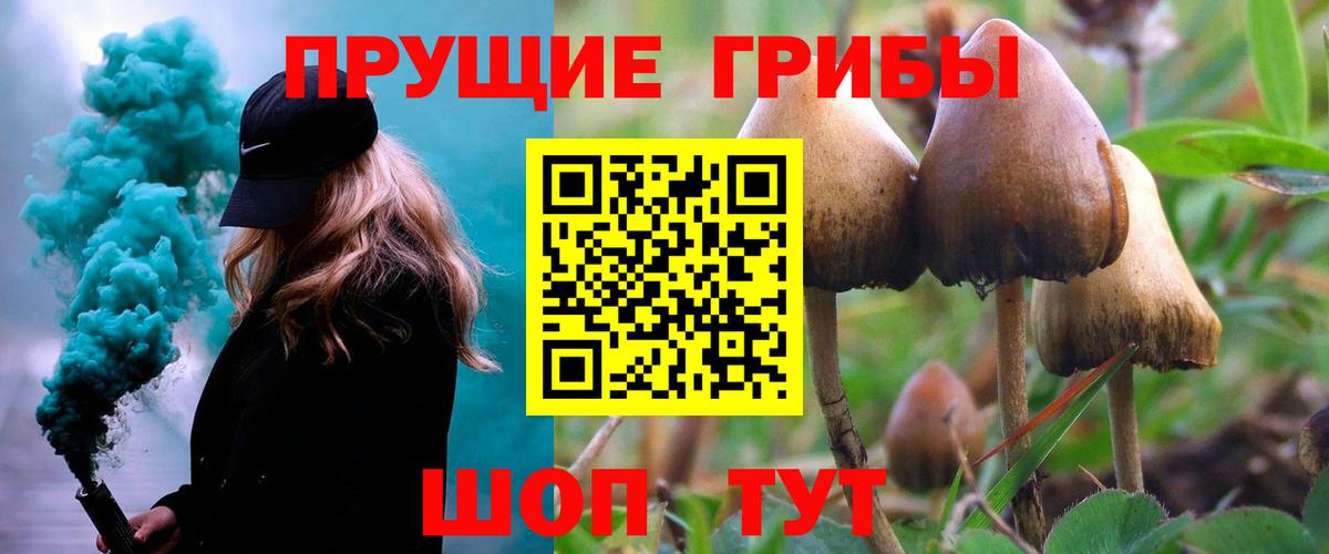 Избербаш  Псилоцибиновые грибы Cubensis  Вход с VPN  наркотики  Галлюциногенные грибы мухоморы 