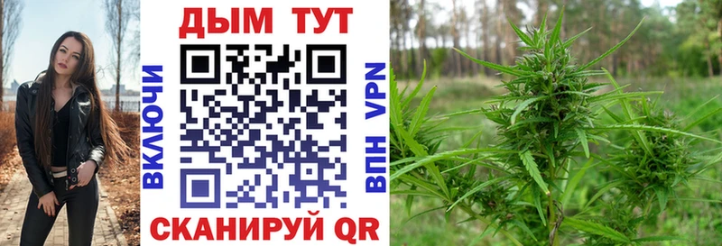 Конопля план  Избербаш 